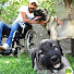gCe0QPuOBfI-channel-avatar-CÜNEYT ÇAYLAK KANGAL KÖPEKLERİ