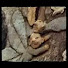 queusUG4V9Y-channel-avatar-napalm5