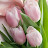 @중정머리-c5c