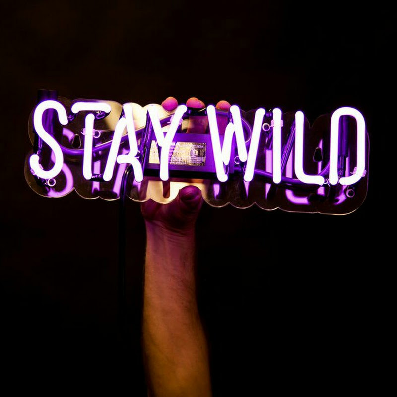 Wild Lyrics