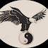 YjSvkyNZMho-channel-avatar-Eagle Hapkido Toronto