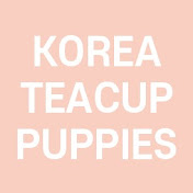 KOREA TEACUP PUPPIES
