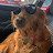 @brewblaker