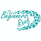 The Beginners Reef