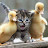@productguru8323 Avatar