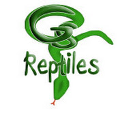 GS Reptiles