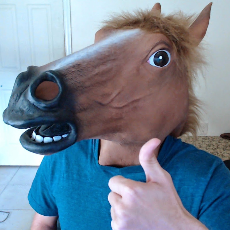 The Kpop Horse
