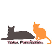 Team Purrfection