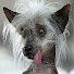 Nh1JliAYdtU-channel-avatar-cjh30003
