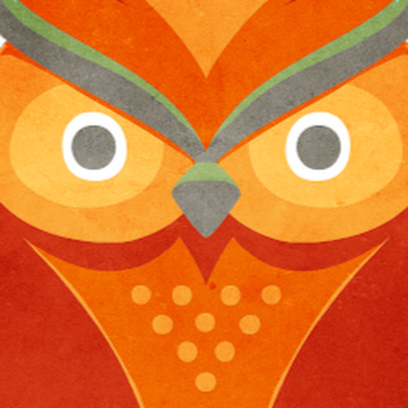 Eyebrow Owl