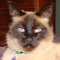 FMxhaU9sUHI-channel-avatar-helpfulnatural