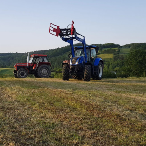 MAFIA PSTRĄGOWA