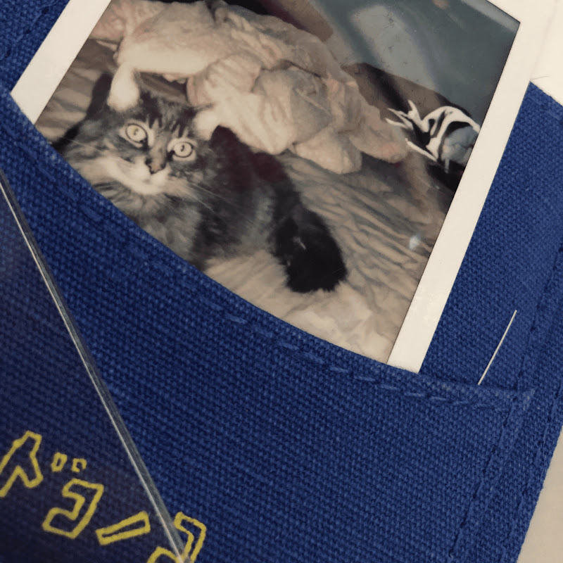 CatWhisker