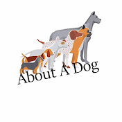 About A Dog Podcast