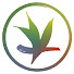 sGBZe24hQ1o-channel-avatar-VerdantTeaChannel