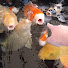 t0VHwFv0fYI-channel-avatar-Koi Diaries