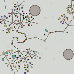 山鳥のsaltアイコン画像