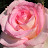 @RosemaryWilliams49fruits's avatar
