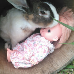 メルちゃんのだいぼうけんアイコン画像