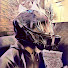utg0WPaYWGI-channel-avatar-Suraj Verma