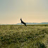 qC8iihvg4DY-channel-avatar-East Coast Deer Management (ECDM)