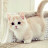 @attiaikram3311