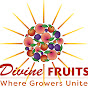 Divine Fruits logo