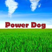 Power Dog Equipment