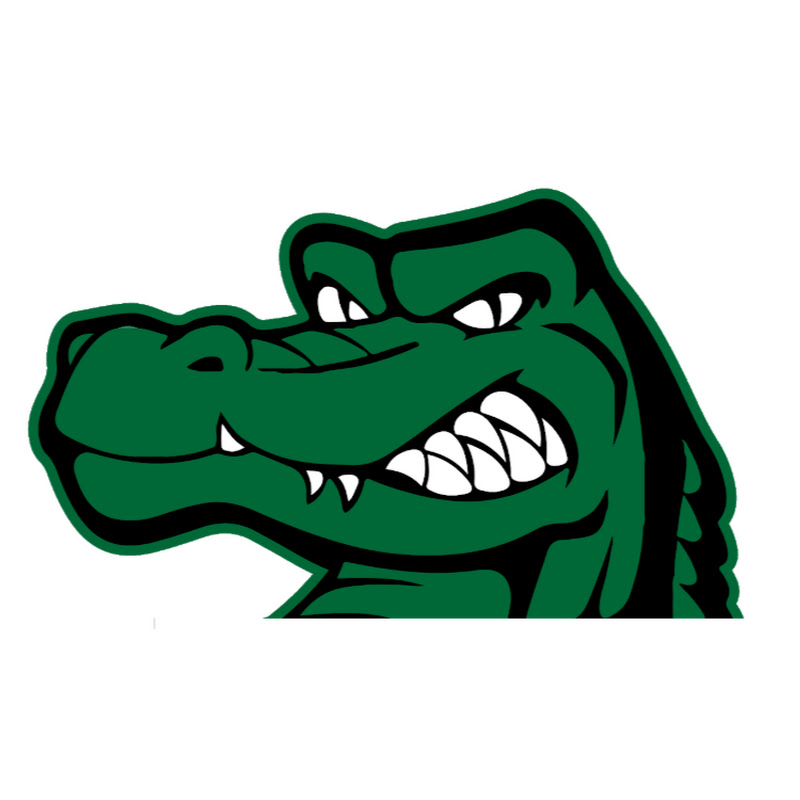 Angry Gator