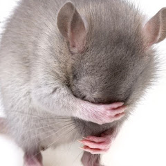 ねずみチャンネル
