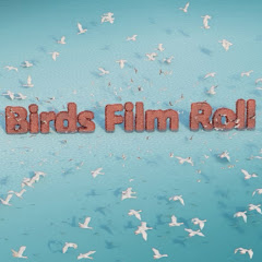 Birds Film Roll