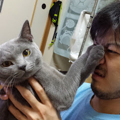 こけぱぱ サブチャンネルアイコン画像