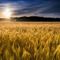 Harvest Church Crookston, MN logo