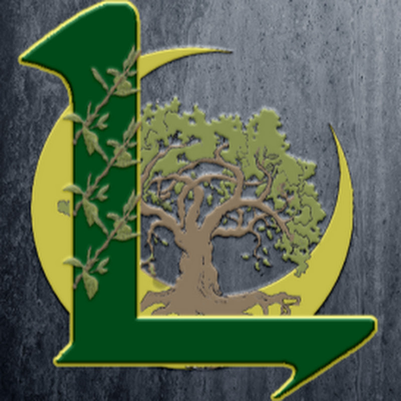 Layvan icon