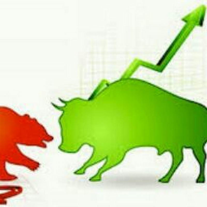 Share Market Study