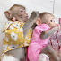 d7jt31sRtFI-channel-avatar-Bop - Monkey baby