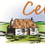 Celtic Croft logo