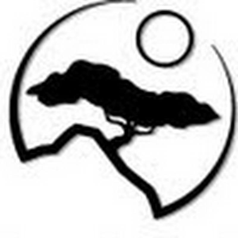 Pacific Martial Arts profile avatar