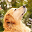 @NataliaSC33's avatar