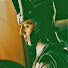 frkAqnGImg4-channel-avatar-Nika6277