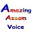 Amazing Assam voice