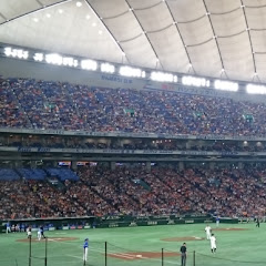 Diarium Baseball