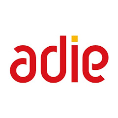 adie org net worth