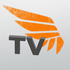 WiNGSPAN Eve TV