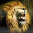 z7FOzDY6W88-channel-avatar-DuskRoar