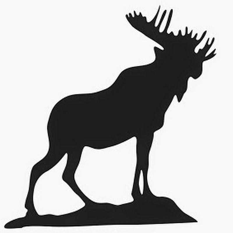 Moose International
