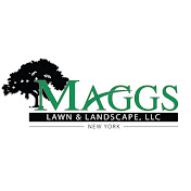 Maggs Lawn and Landscape