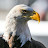 @MGarage2816 Avatar