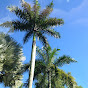 ST