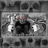 5WQ0RHmf9v0-channel-avatar-Wizard Wizard